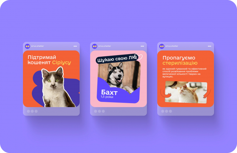 Sirius Animal Shelter screenshot 4