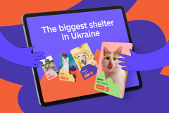 Sirius Animal Shelter