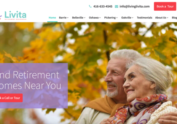 Living Levita(Wordpress) screenshot 1