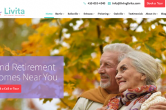 Living Levita(Wordpress)