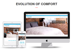 Evolutionofcomfort