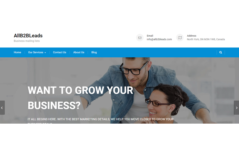 Website Development screenshot 1