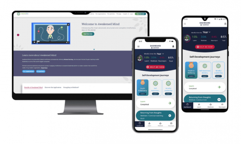 Awakened Mind screenshot 1