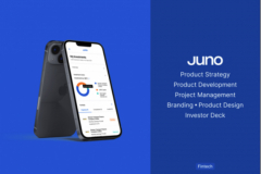 Product strategy, design, and development for Juno
