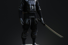 Shadowed Samurai