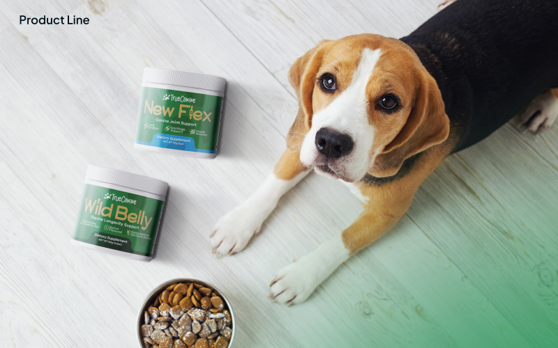 Digital presence for a new dog probiotic screenshot 2