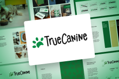 Digital presence for a new dog probiotic