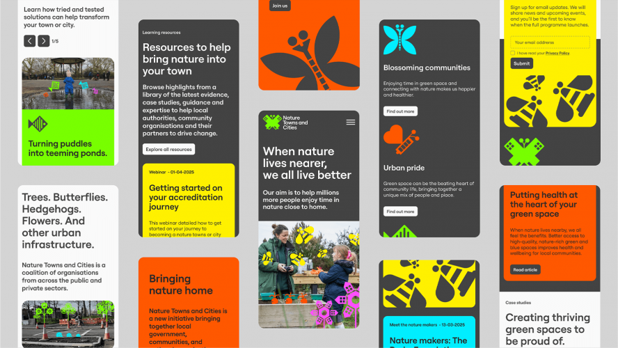 A vibrant website to launch Nature Towns & Cities, a new initiative from the National Trust. screenshot 1