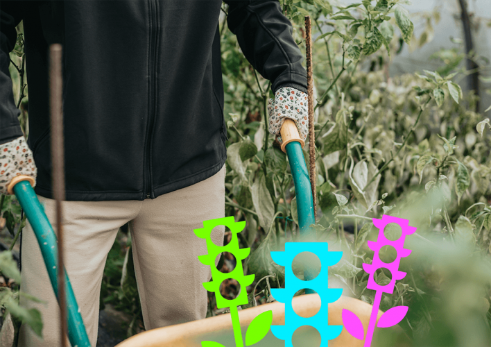 A vibrant website to launch Nature Towns & Cities, a new initiative from the National Trust. screenshot 2