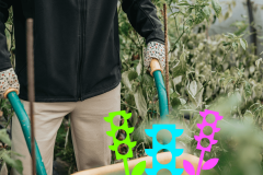 A vibrant website to launch Nature Towns & Cities, a new initiative from the National Trust.