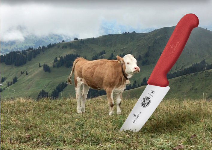 Victorinox - The Swiss army knife in advertising screenshot 2