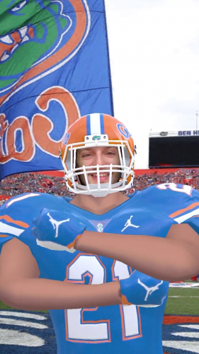Be a Gator! screenshot 1