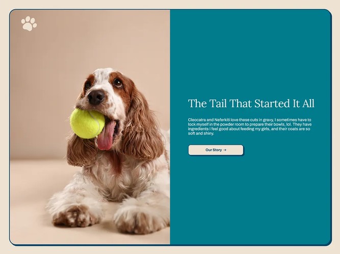 Zazu & Co Pet Care | UI/UX & Shopify Design screenshot 3