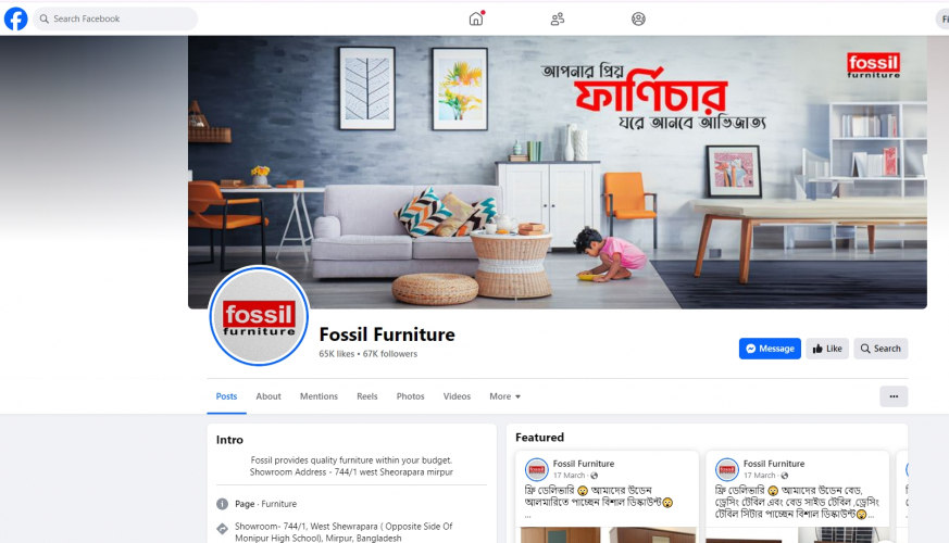 Fossil Furniture Digital Marketing, Video Editing and Web Development  screenshot 5