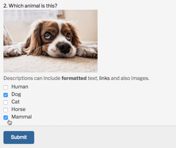WordPress Quiz Manager Plugin screenshot 3