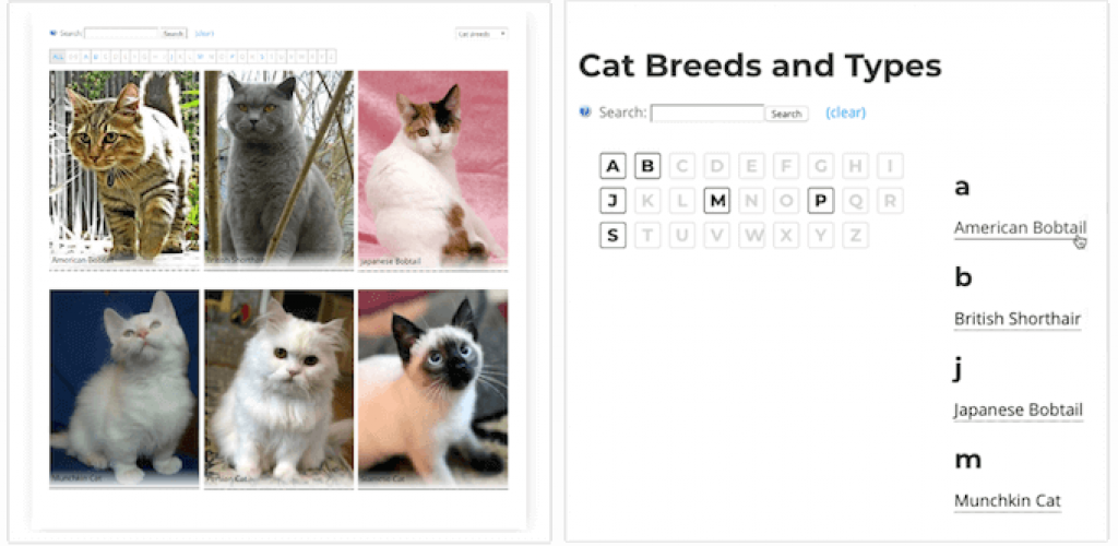 Tooltip Glossary Plugin screenshot 2