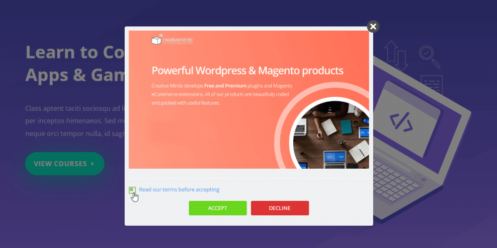 WordPress Disclaimer and Cookies Notification Popup Plugin screenshot 2