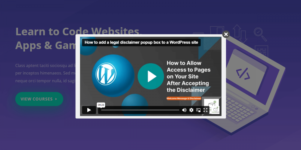 WordPress Disclaimer and Cookies Notification Popup Plugin screenshot 3