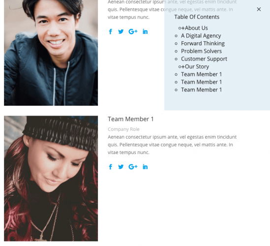 WordPress Table of Contents Plugin screenshot 1