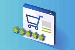 WordPress Review Plugin