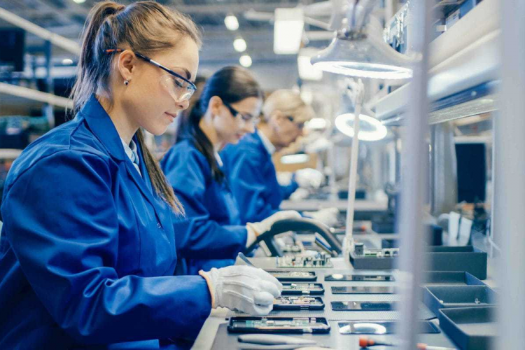 Productivity Improvement in Flock Manufacturing screenshot 1