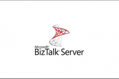 Outsourcing BizTalk Developers to a Belgium-Based BizTalk Consultancy – A Case Study