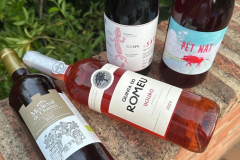 Enhanced Brand Identity and Recognition