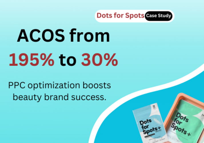 PPC Optimization (ACOS from 195% to 30%) screenshot 1