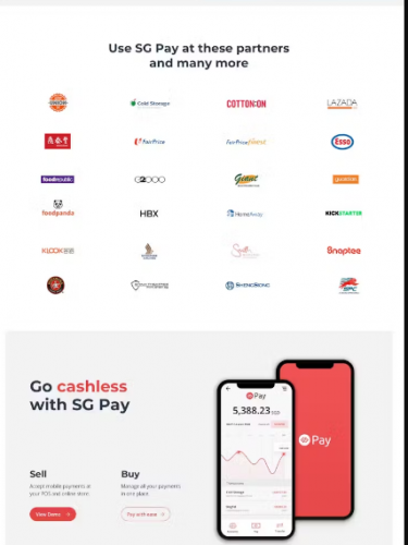 Preparing the future of payments with SG Pay. screenshot 2