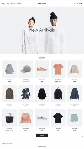 Adan Studio screenshot 1