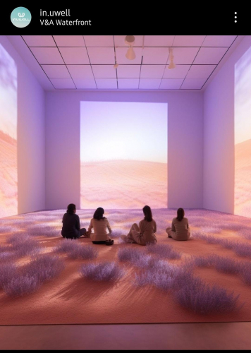 Inuwell Web & Product Development screenshot 1