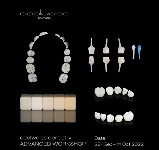 Edelweises Densistry Website & App screenshot 2