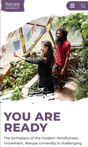 Naropa University: Web Migration Success  screenshot 1