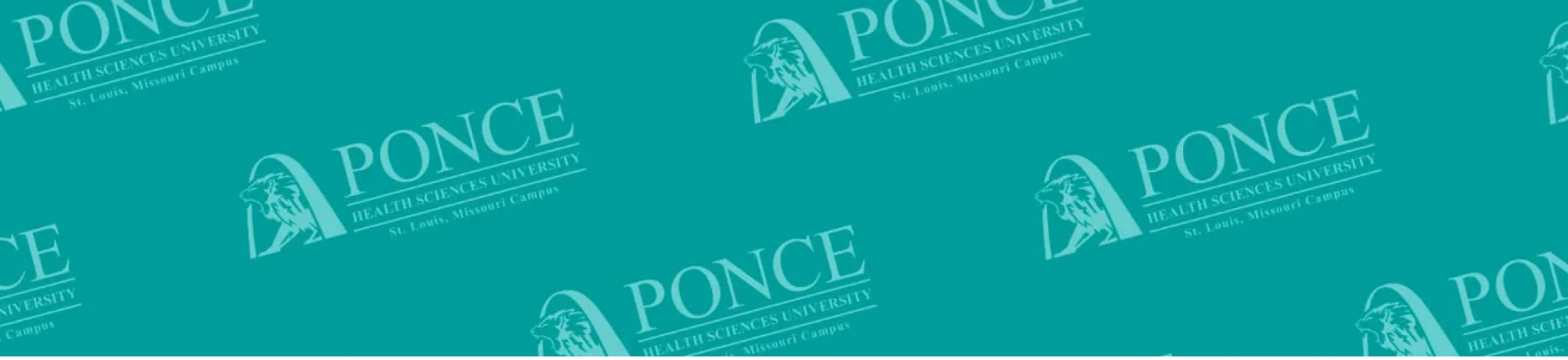 A Healthy Partnership in St. Louis screenshot 1