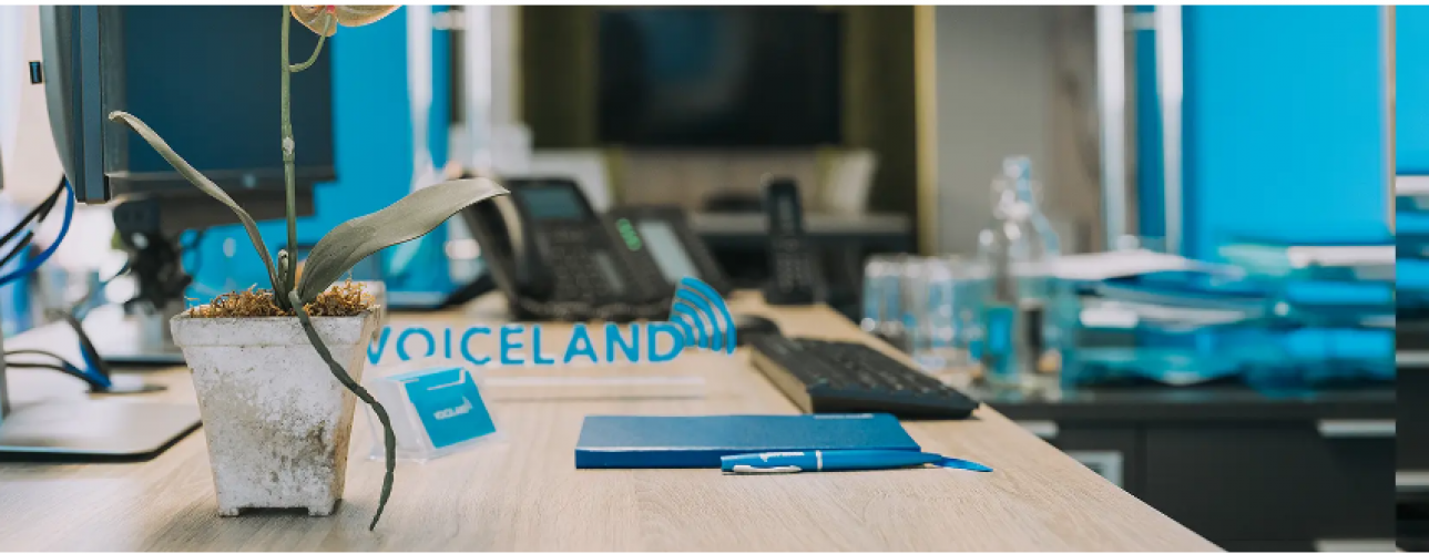 Voiceland | An absolute success story screenshot 1