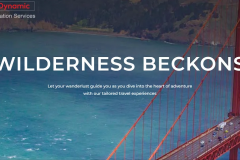  Dynamic Aviation Website Development