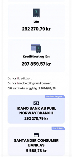 INKASSOREGISTERET screenshot 2