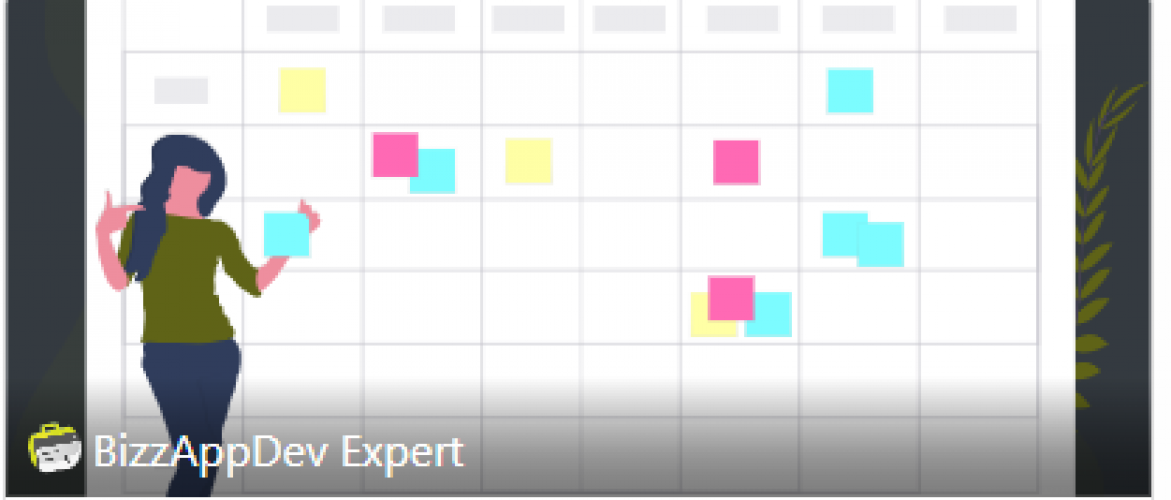 The Success Story of BizzAppDev Company with Odoo Inventory screenshot 1