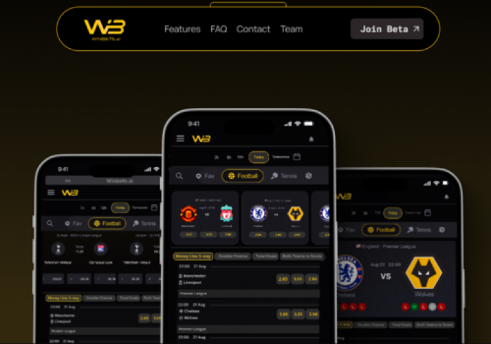 Winbets screenshot 1