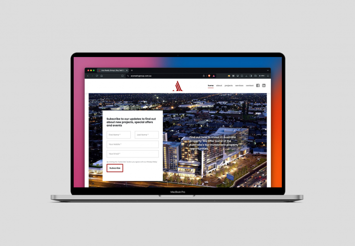 Ace Realty Group Website screenshot 1