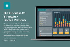 Fintech Fundraising Platform