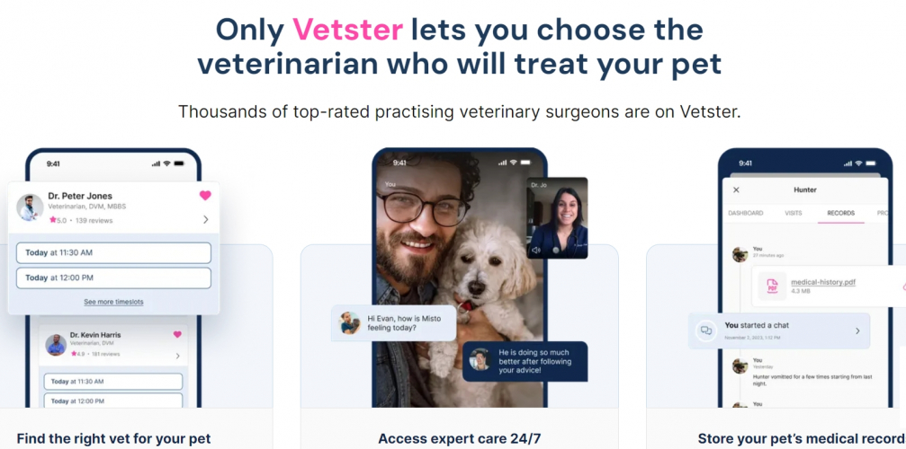 Brand Strategy  screenshot 1