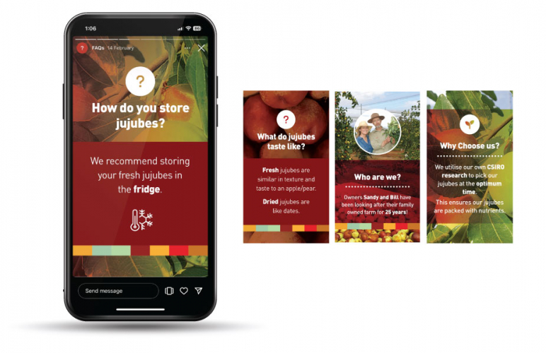 Jujbenate Branding screenshot 4