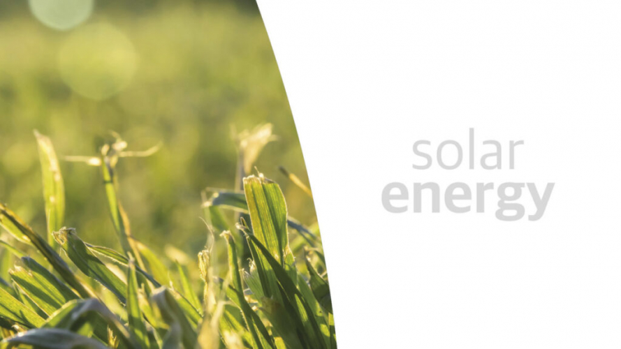 Solar Polaris - Paid by the sun screenshot 1