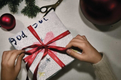 The Pandora Christmas Workshop