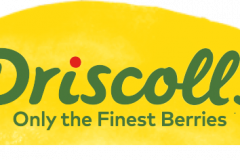 Driscoll's Sweet Tribute - Brand Activation