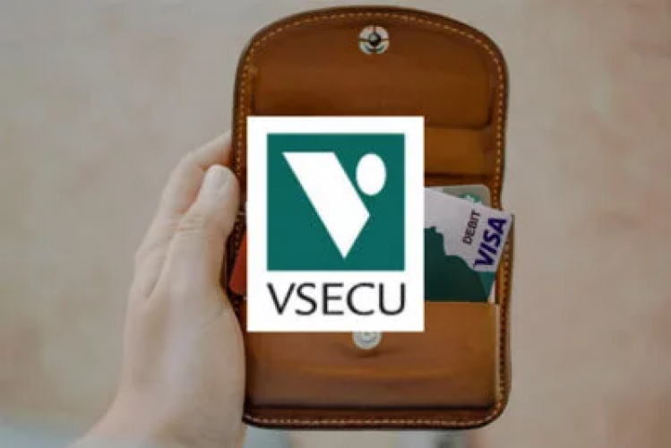 VSECU Increases Conversions By 90% While Spending 44% Less screenshot 1
