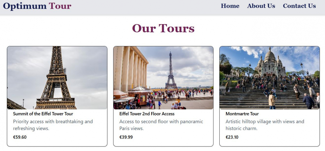 Tours & Tavel Agency Website Design and Development screenshot 1