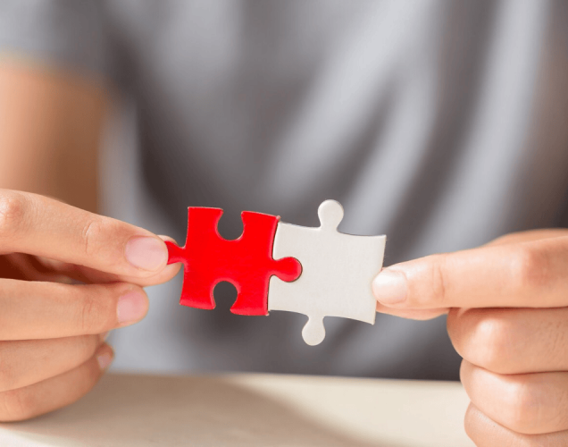 Visual Brilliance: Transforming Aditya Birla Capital's Digital Landscape screenshot 2