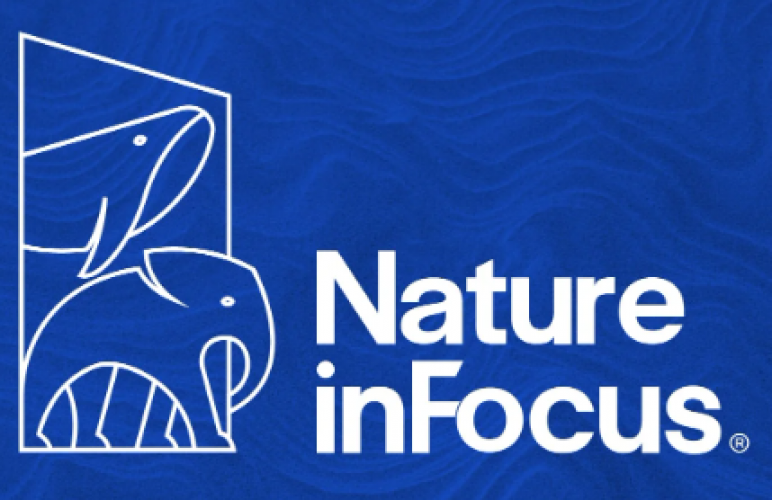 Nature in Focus screenshot 1